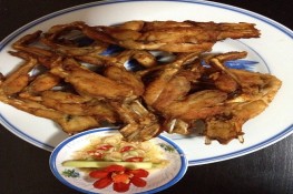 Thuốc hay từ ếch