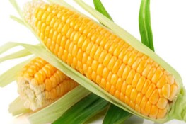 5 thực phẩm cực tốt cho bạn