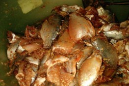 Cá ươn kho sẵn đắt hàng