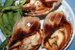 Những món ngon từ ốc khế 