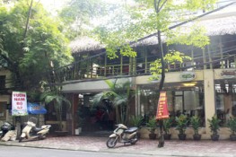Khách tố nhà hàng có gián trong thức ăn