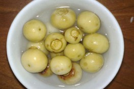 Thân thương quả cà