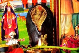 Thần voi Ganesh hiện thân lên quả cà tím