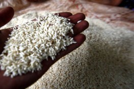 Lạ lùng cơm biến thành gạo
