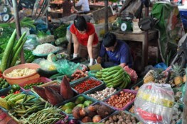 Rau củ Trung Quốc được tiêu thụ mạnh