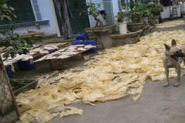 Giò, nem sản xuất cực bẩn