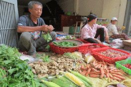 Hà Nội tẩy chay gừng Trung Quốc