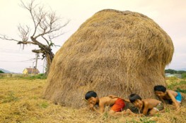 Bữa cơm gia đình trong mùa gặt