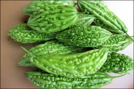 Thuốc hay từ khổ qua