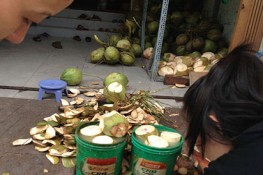 Dừa tẩy trắng cực độc hại