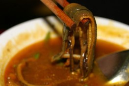 Ăn lươn mà nhớ xứ Nghệ