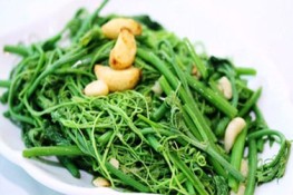 Oi bức lên Tam Đảo ăn su su