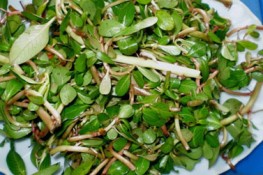 Tấm tắc khen ngon rau dừa chấm mắm kho