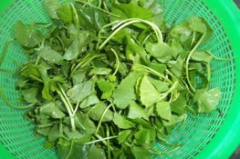 Nấu canh rau má giải nhiệt