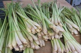 Thuốc quý từ sả