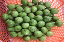 Dùng quả để nấu canh chua