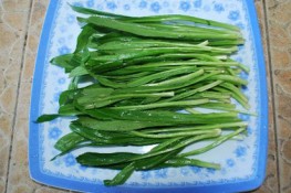 Rau mùi tàu chữa bệnh khó tiêu