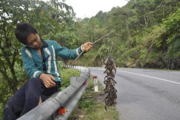 Đi bắt kèng on