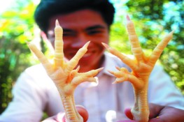 Người Dao không cúng tổ tiên bằng gà chín cựa