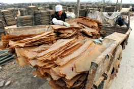 Chè khúc bạch được làm từ gì?