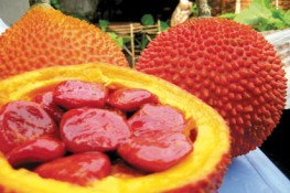 Dinh dưỡng từ trái gấc