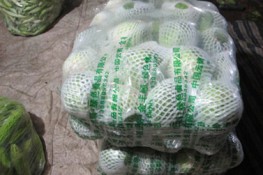 Rau củ trái vụ chủ yếu là hàng Trung Quốc