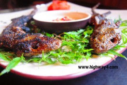 Binh đoàn côn trùng “tấn công” Highway4!