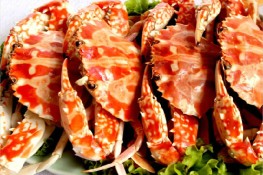 Những món ngon khó cưỡng khi tới biển Cửa Lò