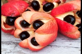 Những thực phẩm nguy hiểm nhưng ăn được