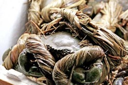 Món ăn bài thuốc từ cua bể