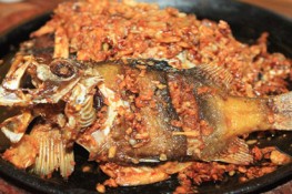 Cá sơn gà - món ngon của biển