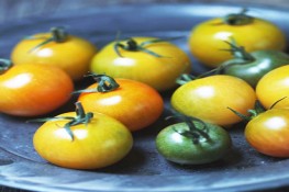 Người Châu Âu từng coi cà chua là táo độc