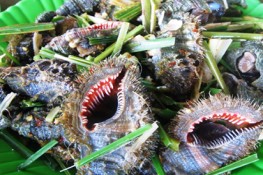 Thưởng thức ốc lông