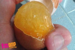 Người dân Singapore hoang mang khi phát hiện trứng giả 