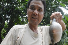 Người dân bắt được cá khủng cắn người