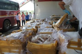 Kinh hoàng "đặc sản" thịt heo thối trong tiệc cưới