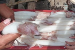 Ngâm hóa chất mực tươi rói