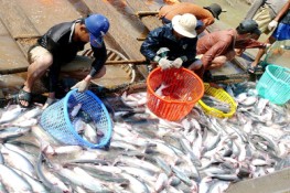 Chính phủ yêu cầu xử lý nghiêm nhập lậu thủy sản