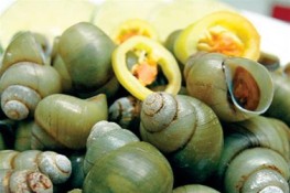 Ốc gạo cồn Phú Đa