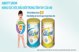 Tạm giữ lượng lớn sữa Abbott nhập lậu