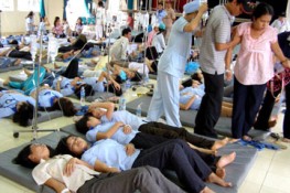 Ngộ độc thực phẩm, 59 công nhân phải nhập viện