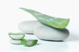 Giảm cân siêu tốc với nha đam