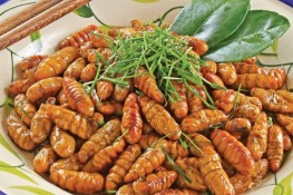 4 loại ấu trùng được thực khách ưa chuộng