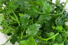 Những lợi ích của rau cần tây