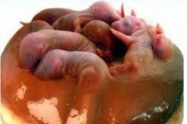 Cận cảnh món ăn " Ba tiếng hét" lừng danh của Trung Quốc