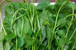 Điều gì sẽ xảy ra khi bạn ăn mồng tơi đều đặn