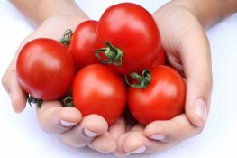 Những ai không nên ăn cà chua?