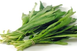 Ngò gai với 5 bài thuốc hay bạn nên biết