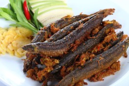 Điều trị yếu sinh lý hiệu quả với 6 bài thuốc từ thực phẩm quen thuộc