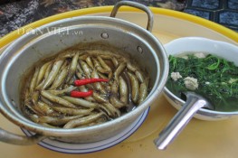 Ngon cơm với cá lìm kìm kho khô mùa nước lũ